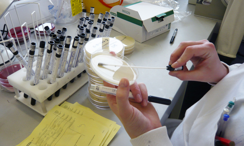 P1000728 edut blur.jpg