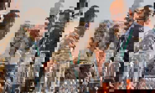 7 Profs Davwy Wilson