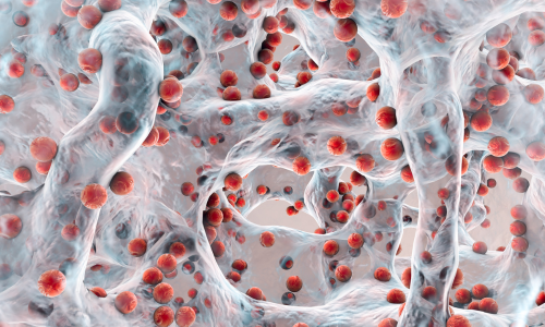 Biofilm Of Antibiotic Resistant Bacteria (Resized 500 X 300 Px)
